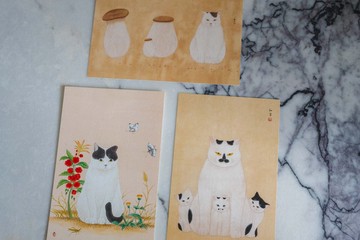 與貓一起度過的３６５天。韓國藝術家貓咪明信片　蘑菇家族系列