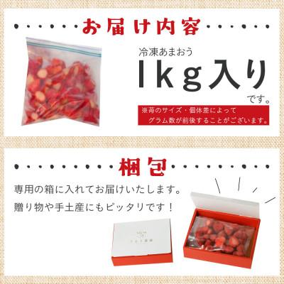 ふるさと納税 中間市 冷凍あまおう1kg(中間市)