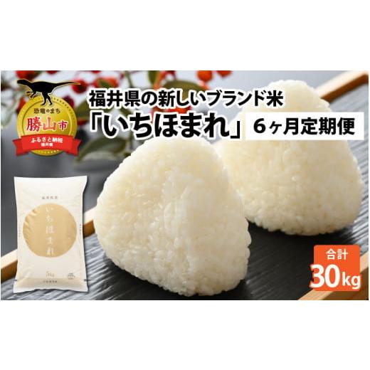 ふるさと納税 福井県 勝山市 令和5年産 新米 福井県の新しいブランド米 いちほまれ5kg ×1袋（5kg × 6ヶ月） [F-015041]