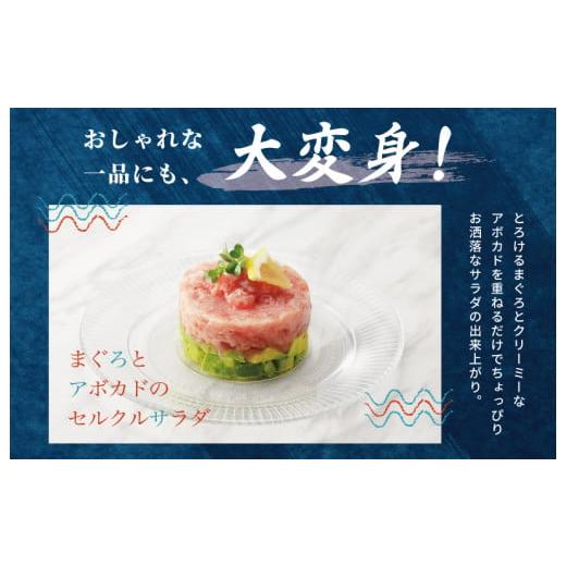 ふるさと納税 大阪府 泉佐野市 天然鮪使用 ねぎとろ 1kg 小分け 100g×10パック