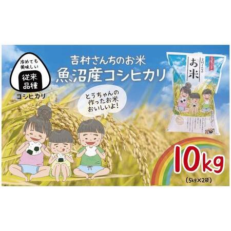 ふるさと納税 ｜従来品種｜ 魚沼産 コシヒカリ 5kg ×2袋 計10kg 米 こしひかり お米 コメ 新潟 魚沼 魚沼産 白米 送料無料 新潟県産 精米.. 新潟県十日町市