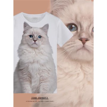 貓咪短袖t恤百搭春夏季薄款透氣寬松半截袖潮流速干體恤衫港風裝