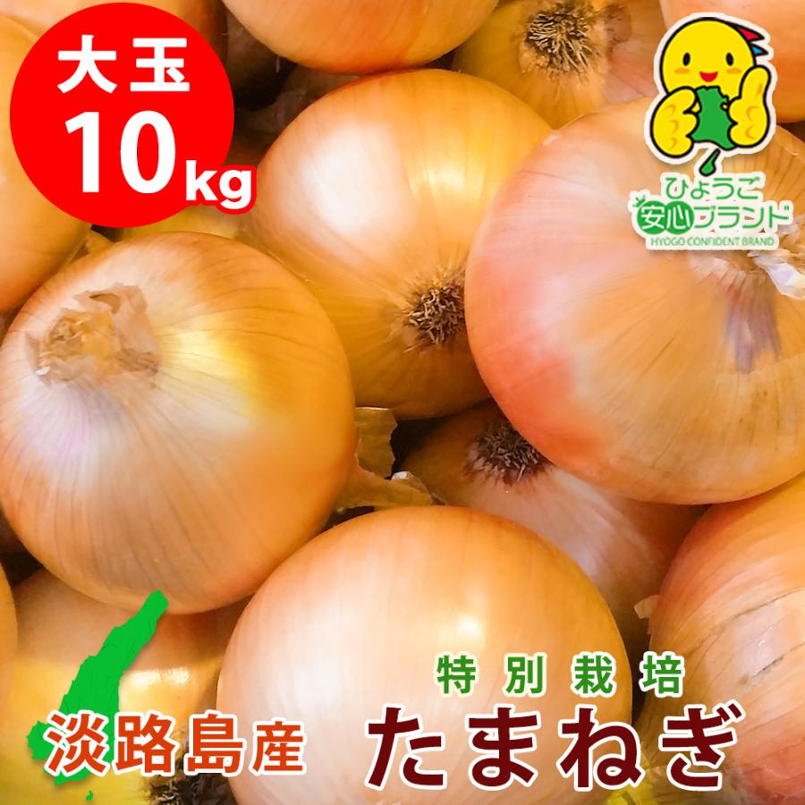 玉ねぎ 野菜 淡路島産 たまねぎ 大玉 10kg 特別栽培 業務用 減農薬 有機肥料使用 産地直送 お取り寄せ あさひサンファーム 中生 晩生 おまかせ