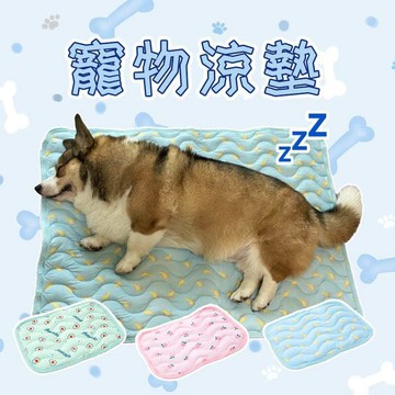 【派派寵物館】寵物涼墊⚡️ 寵物冰絲涼感墊 寵物墊 地墊 貓涼墊 貓咪涼墊 貓墊 狗窩 狗狗涼墊 狗墊 寵物冰墊 床墊