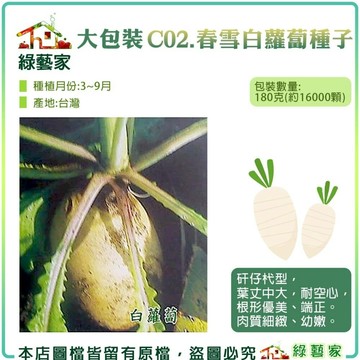 【綠藝家】大包裝C02.春雪白蘿蔔種子180克(約16000顆) 矸仔杙型.葉丈中大,耐空心,根形優美.端正。肉質細緻.