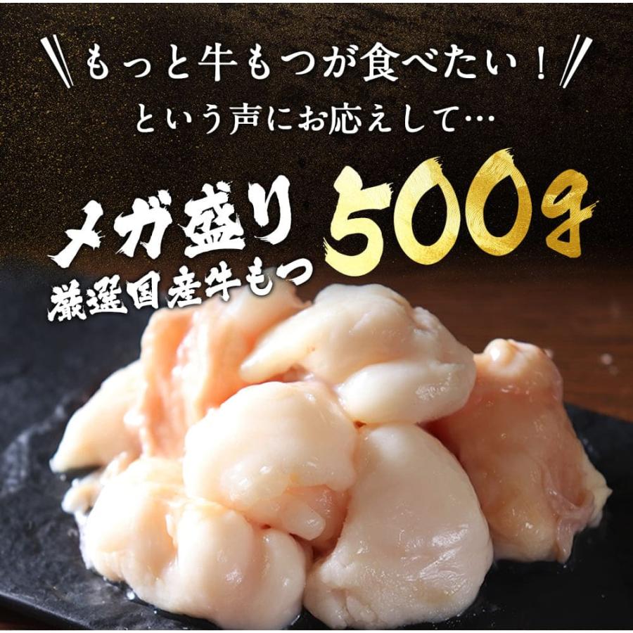 もつ鍋 黄金屋特製「メガ盛りもつ鍋セット」 厳選国産牛もつ500g  お取り寄せグルメ