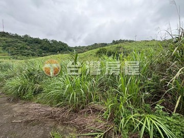 低總價員山果園景觀山坡地~種植水果/養蜂/景觀優美｜宜蘭縣員山鄉內湖一段