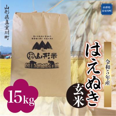 ふるさと納税 真室川町 令和5年産 はえぬき  15kg(15kg×1袋) 山形県 真室川町