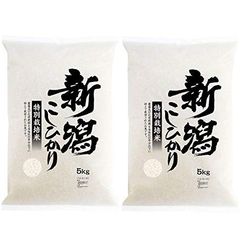 令和5年産 新潟県長岡産特別栽培米コシヒカリ白米10kg(5kg×2)