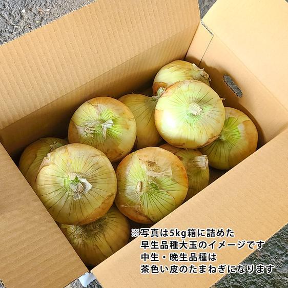 野菜 玉ねぎ あさひサンファームの淡路島たまねぎ特別栽培 産地直送