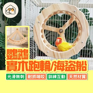 《家有毛孩🐾》鸚鵡實木海盜船 鸚鵡實木跑輪 鸚鵡啃咬玩具 磨爪鞦韆 益智玩具 海盜船鞦韆 鳥籠配件 籠內造景 寵物玩具