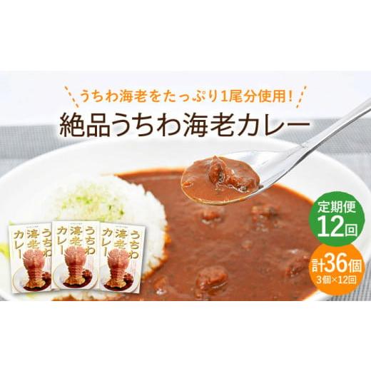 ふるさと納税 長崎県 平戸市 絶品  ウチワエビカレー 計36個（3個セット／回） [KAA293]