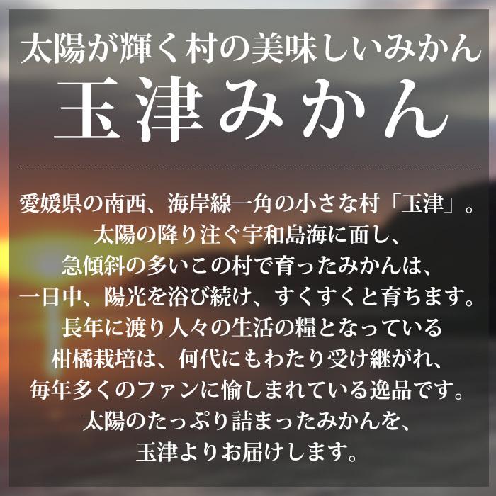 みかん 愛媛県産 玉津みかん 良品 約3kg M〜Lサイズ 24〜30個