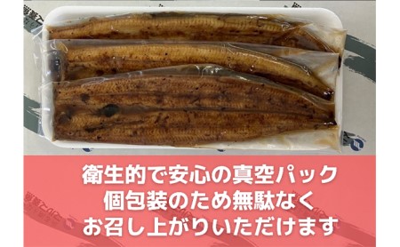 うなぎ 浜名湖 蒲焼き 3本 タレ 山椒 お吸い物 セット 国産 鰻 浜名湖うなぎ 浜名湖産 蒲焼 真空パック 惣菜 おかず ごはんのお供 魚 魚介 魚介類 加工食品 静岡 湖西市 湖西