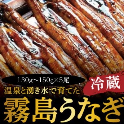 霧島市育ちのあの「うなぎ」130～150g×5尾　C-077-RZ