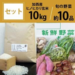 ふるさと納税 お米と野菜セット 加西産ヒノヒカリと季節の野菜詰め合わせ ヒノヒカリ玄米5kg相当×2袋 旬の野菜10品程度【野菜類・セット・.. 兵庫県加西市