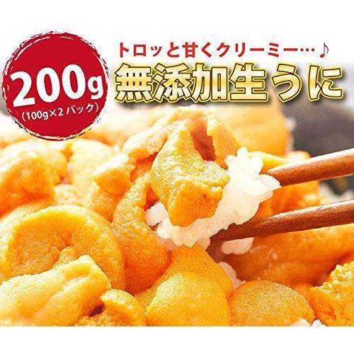 イクラ 醤油漬け 250ｇ×1 生うに 100ｇ×2 海鮮 宝箱 詰め合せ 2種 セット  いくらしょうゆ漬け いくら ギフト イクラ醤油漬け