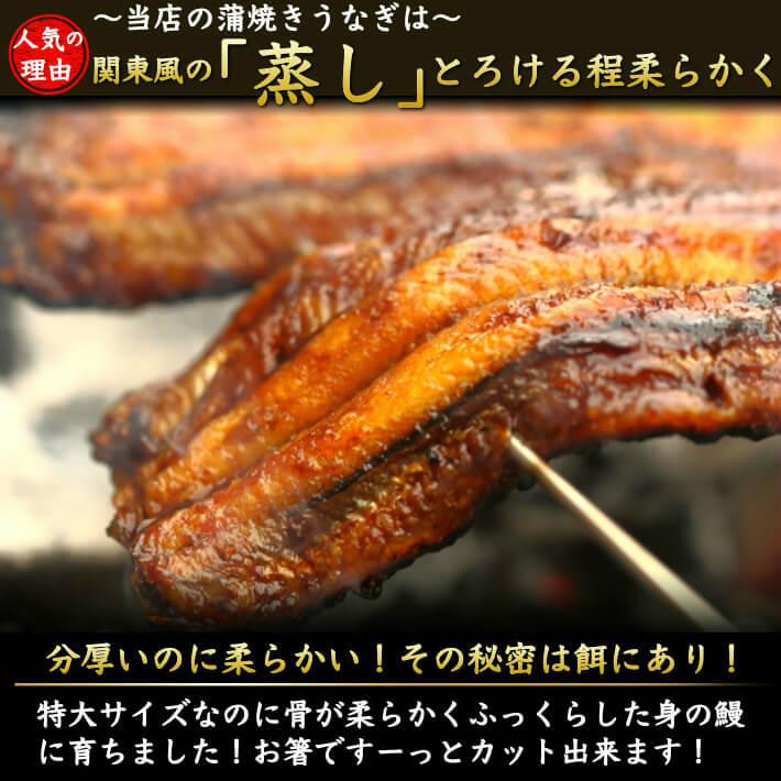 藁焼き鰹たたきと国産特大うなぎセット（蒲焼き 白焼き 選べる鰻) 誕生日 ギフト