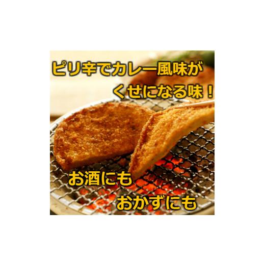 ふるさと納税 徳島県 小松島市 フィッシュ カツ 詰め合わせ 30枚 おやつ おつまみ おかず ソウルフード ご当地 グルメ 徳島県 ギフト 揚げ物 練り物