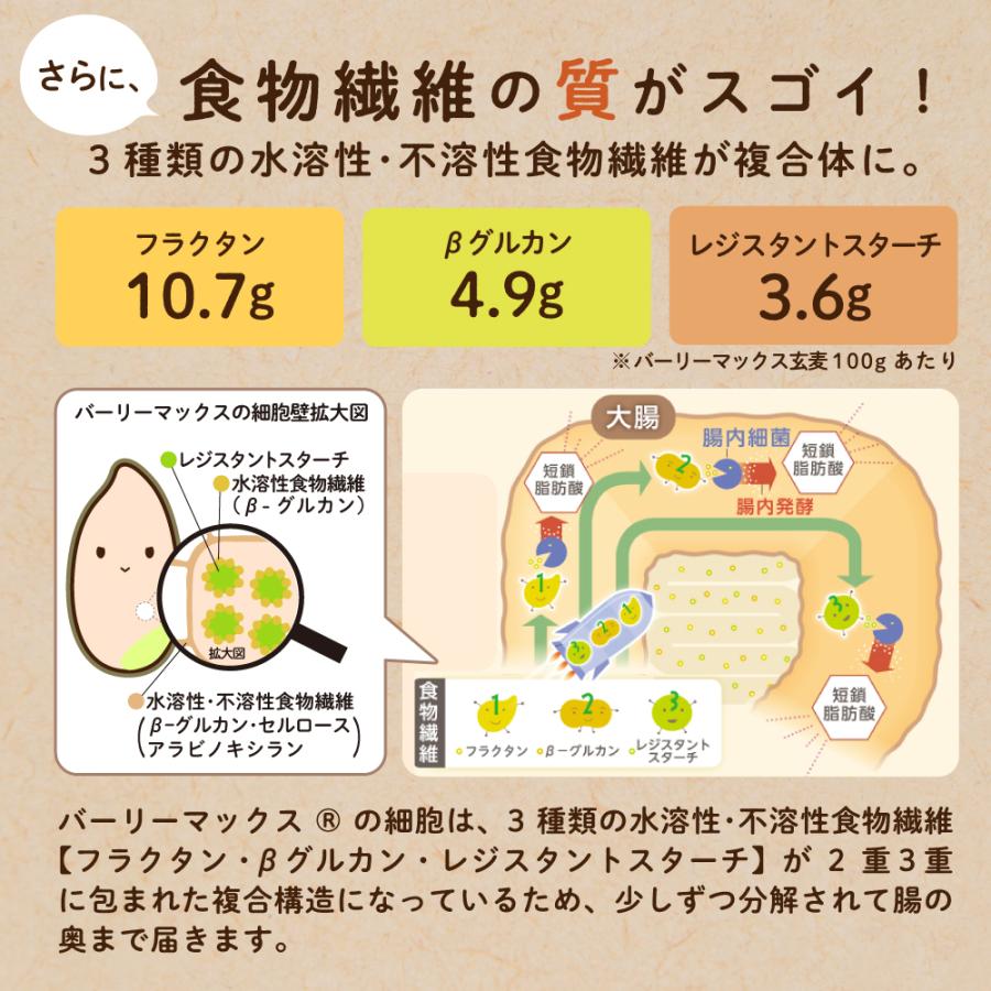 ロハスタイル スーパー大麦 バーリーマックス 2kg