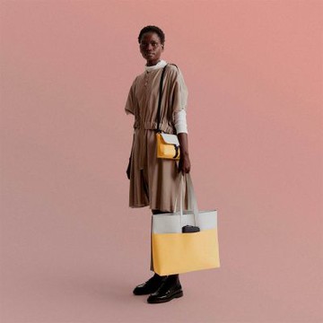 Ucon Acrobatics Emilia Lotus Infinity 肩背包 - 冰川銀 / 檸檬黃