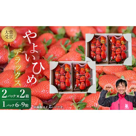 ふるさと納税 茨城県 鉾田市 畑のいちご　「やよいひめ」　デラックス2箱