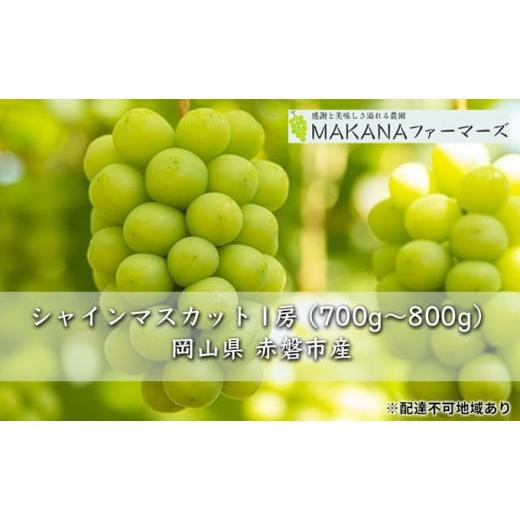 ふるさと納税 岡山県 赤磐市 ぶどう 2024年 先行予約 シャイン マスカット 1房 700g〜800g 大粒 種無し ブドウ 葡萄 岡山県 赤磐市産 国産 フルーツ 果物 ギフ…