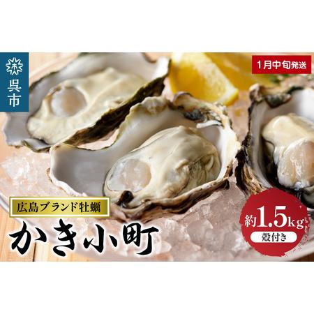 ふるさと納税 丸十水産 広島ブランド牡蠣 殻付き かき小町 約1.5kg  (8〜10個) 広島県呉市