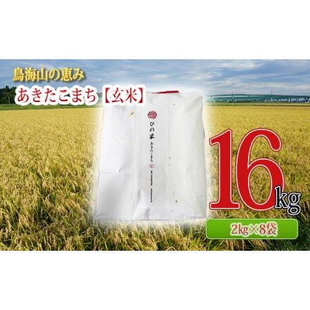 ふるさと納税 秋田県産 あきたこまち 玄米 16kg（2kg×8袋）神宿る里の米「ひの米」（お米 小分け） 秋田県にかほ市