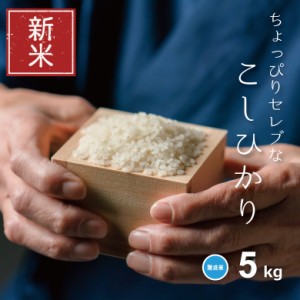 新米 米 お米 5kg ちょっぴりセレブな コシヒカリ 無洗米 国内産 令和5年産 精米5kg こしひかり