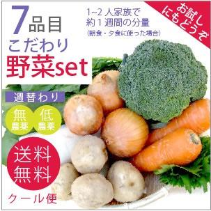 旬の野菜　こだわり野菜セット 無農薬　低農薬　7品目野菜セット　少人数　お試し向け　送料込 旬 ギフト 贈り物 プレゼント お取り寄せ お中元 お歳暮