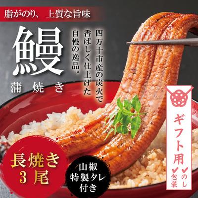 ふるさと納税 四万十市 うなぎ蒲焼　長焼3尾 CD