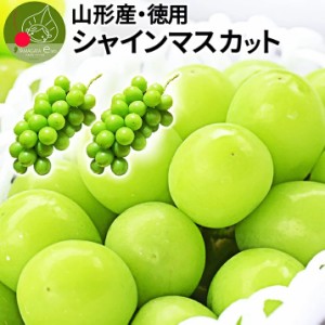 まもなく終了! シャインマスカット 産地直送 約1kg 2～3房入り 山形県産 お徳用 大粒 訳あり ぶどう 山形県から産地直送 種無し 大粒 送