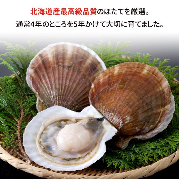 北海道産 刺身用ほたて 特 1kg 送料無料 お取り寄せグルメ