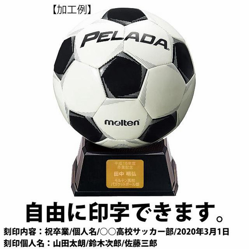 サッカーボール サインボール 人工皮革 | GOODS,記念品 | 【公式