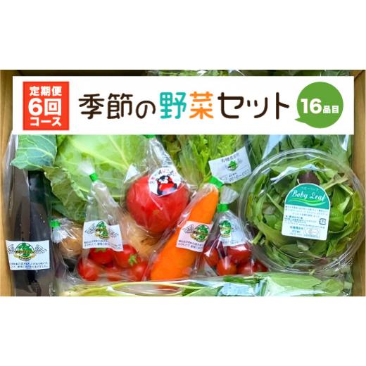 ふるさと納税 熊本県 八代市  季節の野菜セット 16品目