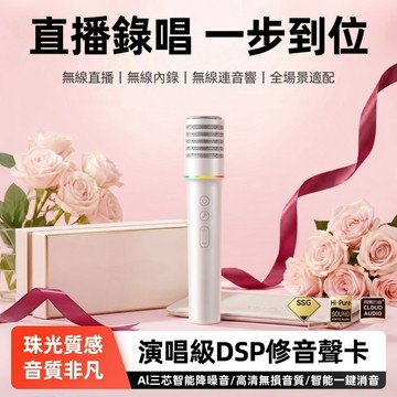 🔥新款首發🔥台灣出貨🔥H12直播音效卡麥克風 無線錄唱麥克風 動圈麥克風 直播聲卡套裝 一鍵消原音 智慧降噪 超長續航