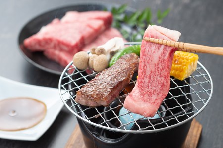 SS01　松阪牛焼肉（ロース）　500ｇ／（冷凍）瀬古食品　JGAP認定　松阪肉　名産　お取り寄せグルメ　三重県　大台町