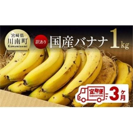 ふるさと納税 国産バナナ1kg　3ヶ月定期便【国産 バナナ 無農薬 フルーツ 果物 デザート 朝食 スムージー 訳ありバナナ 全3.. 宮崎県川南町