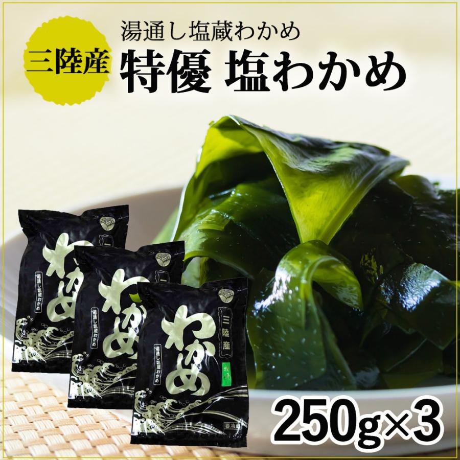 わかめ 3.11 三陸産 塩蔵わかめ 250g×3袋（磯ヤ海産）