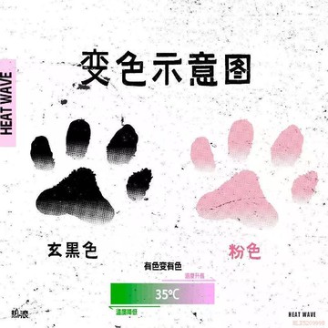 桃園出貨✨貓咪溫變紋身貼·全是貓爪體溫變色可愛套裝愛心貓咪萌寵必備專用