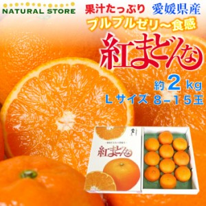 [予約12月31日必着] 紅まどんな 2kg L サイズ 愛媛県産 お正月必着 お年賀 御年賀 冬ギフト