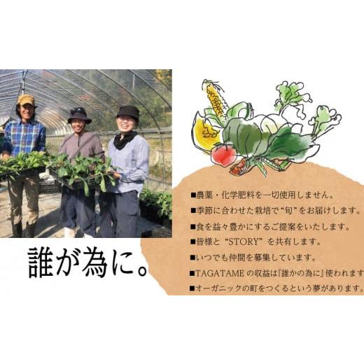 ふるさと納税 香川県 さぬき市 野菜 特別栽培 定期便 セット 12回 1年間 詰め合わせ 栽培期間中農薬不使用 7〜10種類 旬の採れたて お野菜 詰め合わせ セット…