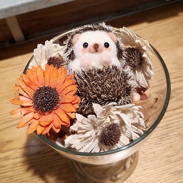 你在看我嗎-害羞版刺蝟