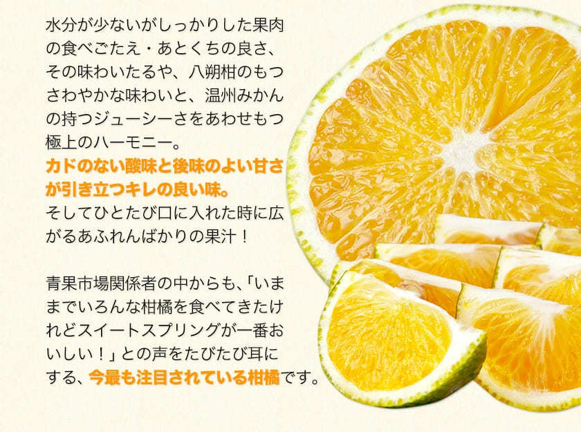 スイートスプリング 1.5kg 訳あり 熊本県産 送料無料 旬 の みかん   (3L〜Sサイズ 3L-S混合)  12月上旬〜12月下旬頃より発送予定