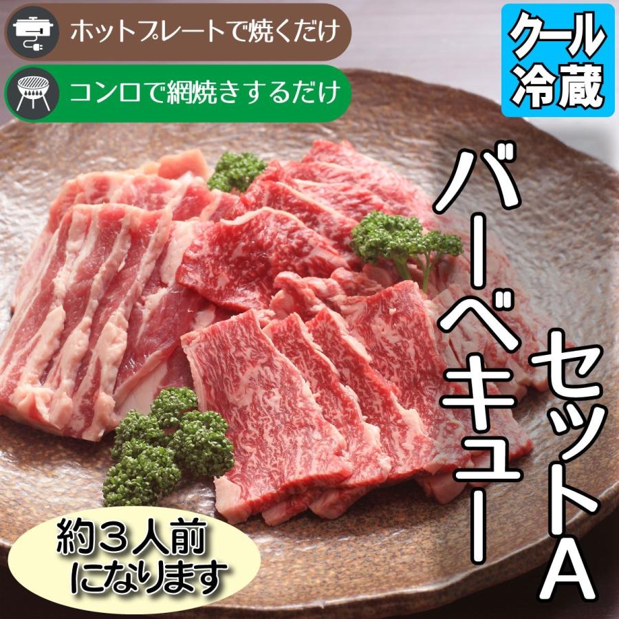 バーベキューセットＡ 約３人前 焼肉用