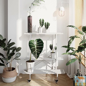 日式鐵藝 花架 園藝花架 簡約現代 室內置物架 不生鏽庭院 花盆架 落地式 花架子 移動花架