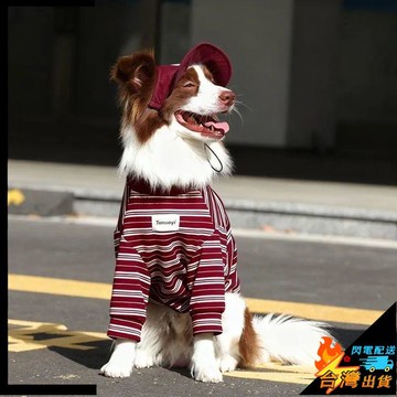 【台灣出貨】狗狗衣服 新款洋氣 條紋 撞色 大型犬 寵物衣服 金毛 拉布拉多 兩腳衣 寵物服飾 狗狗保暖衣服 狗衣服