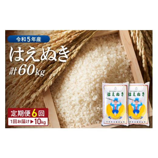 ふるさと納税 山形県 河北町 ※2024年2月前半スタート※はえぬき 60kg定期便（10kg×6回）山形県産