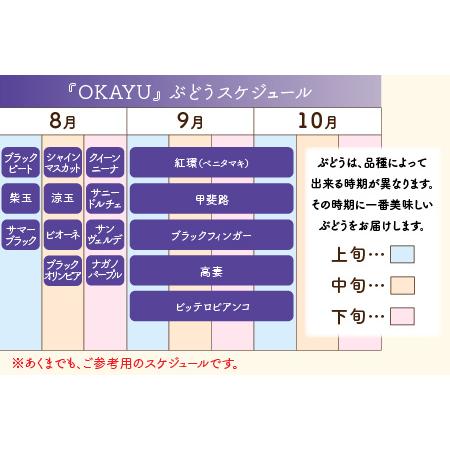 ふるさと納税 8月特選 ぶどうセットL 1.7kg以上（3〜4房）／ 葡萄 シャインマスカット シャイン 品種 おまかせ あわら 農家おすす.. 福井県あわら市